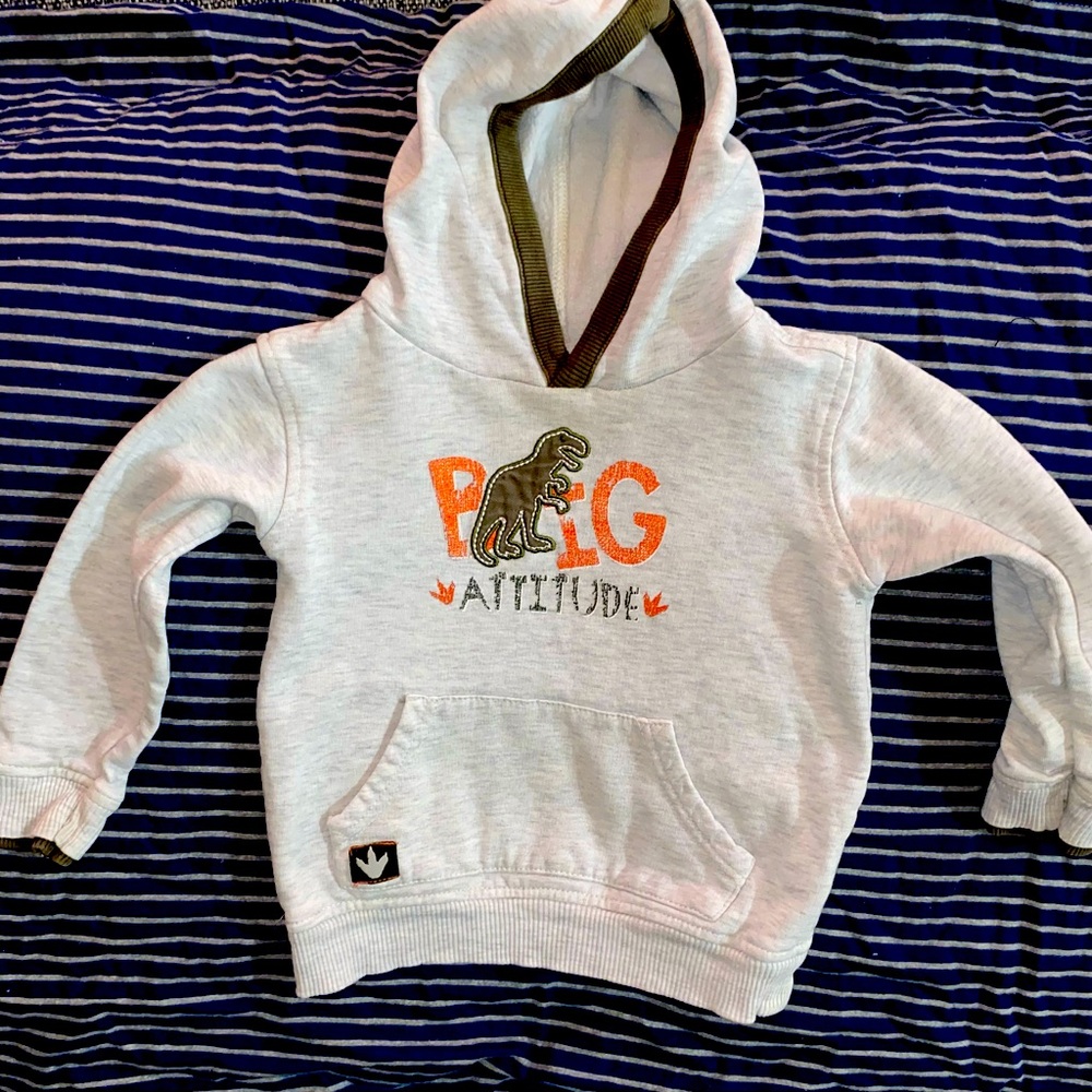 Baby boy hoodie